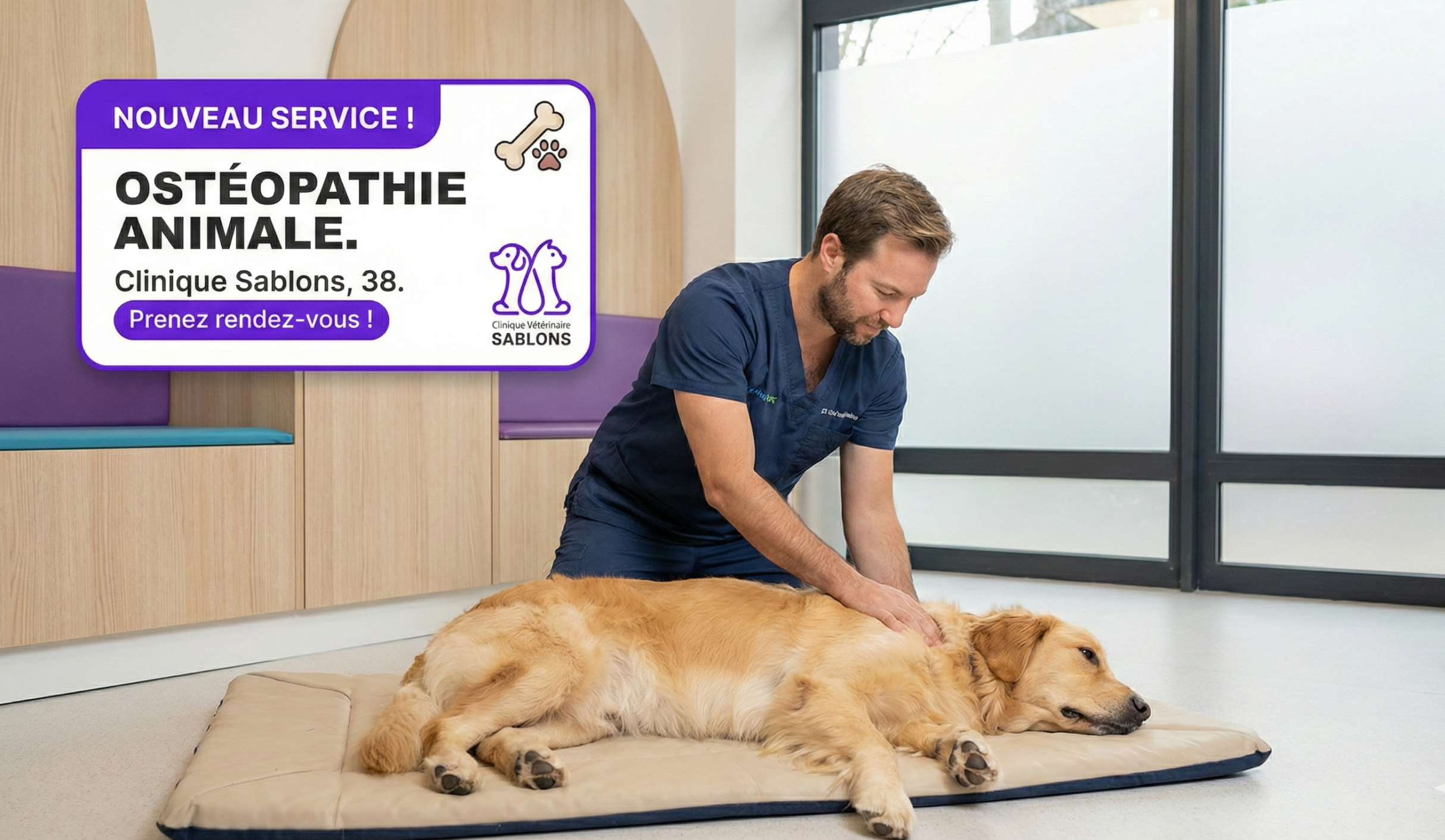 ostéo animale sablons 38